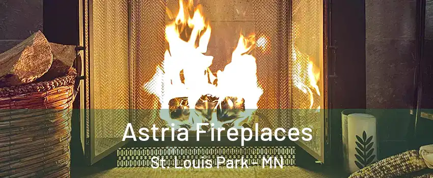  Astria Fireplaces St. Louis Park - MN