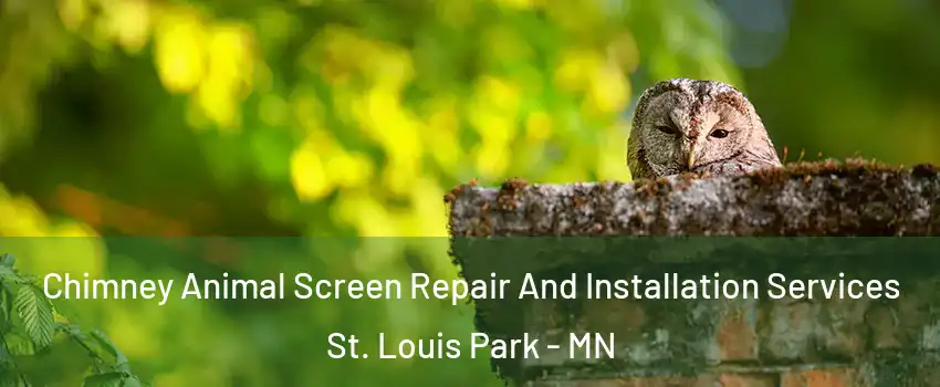  Chimney Animal Screen Repair And Installation Services St. Louis Park - MN