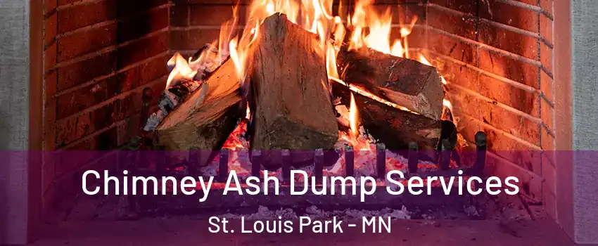  Chimney Ash Dump Services St. Louis Park - MN