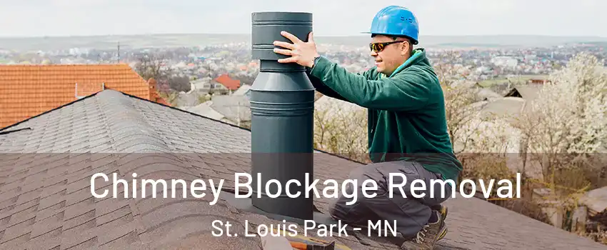  Chimney Blockage Removal St. Louis Park - MN