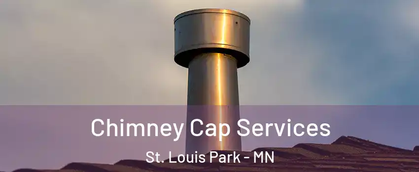  Chimney Cap Services St. Louis Park - MN