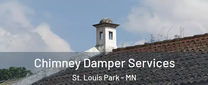  Chimney Damper Services St. Louis Park - MN