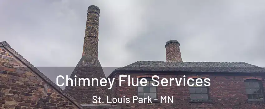  Chimney Flue Services St. Louis Park - MN