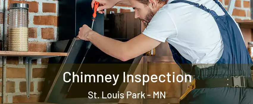 Chimney Inspection St. Louis Park - MN