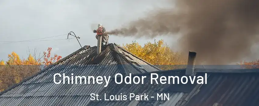  Chimney Odor Removal St. Louis Park - MN