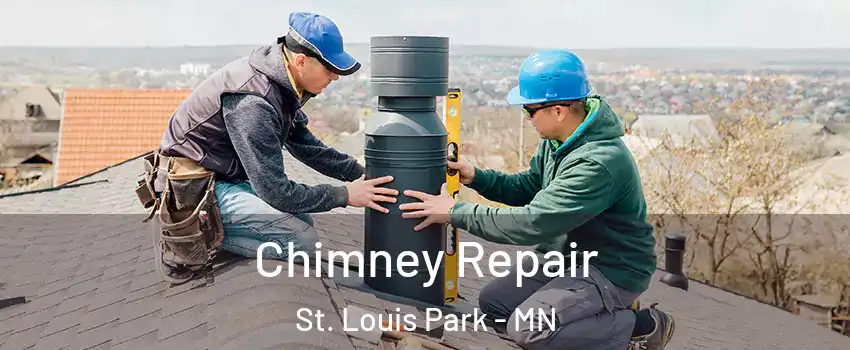  Chimney Repair St. Louis Park - MN