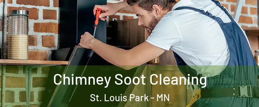  Chimney Soot Cleaning St. Louis Park - MN
