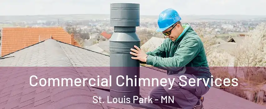  Commercial Chimney Services St. Louis Park - MN