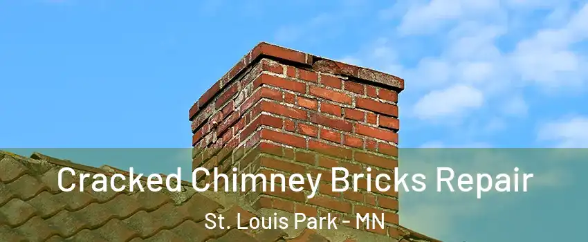  Cracked Chimney Bricks Repair St. Louis Park - MN