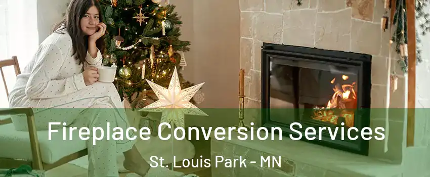  Fireplace Conversion Services St. Louis Park - MN