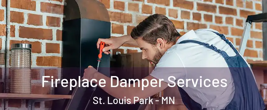  Fireplace Damper Services St. Louis Park - MN