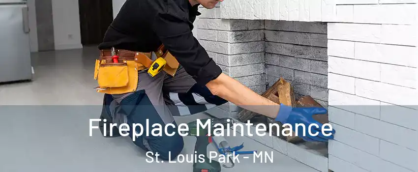  Fireplace Maintenance St. Louis Park - MN