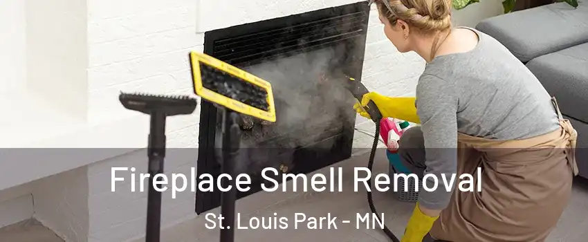  Fireplace Smell Removal St. Louis Park - MN