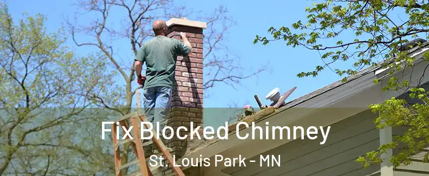 Fix Blocked Chimney St. Louis Park - MN
