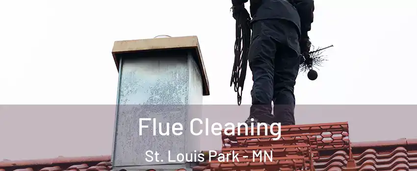  Flue Cleaning St. Louis Park - MN