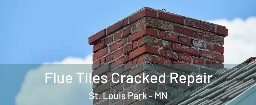  Flue Tiles Cracked Repair St. Louis Park - MN