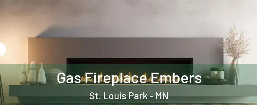  Gas Fireplace Embers St. Louis Park - MN