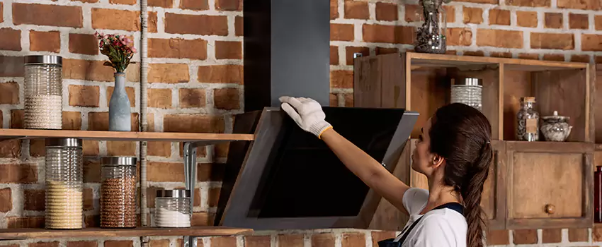 Chimney Installation in St. Louis Park, MN