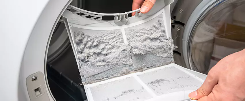 Best Dryer Lint Removal Company in St. Louis Park, Minnesota