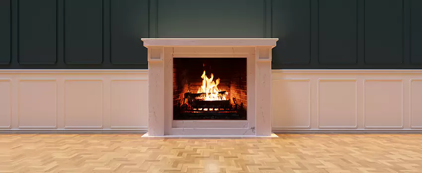Napoleon Electric Fireplaces Inspection Service in St. Louis Park, Minnesota