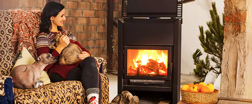 Wood Stove Chimney Cleaning Services in St. Louis Park, MN