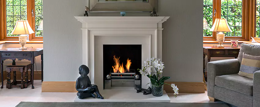 Astria Open-Hearth Wood Fireplaces Services in St. Louis Park, MN