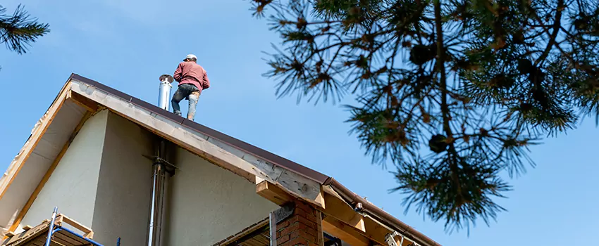 Birds Removal Contractors from Chimney in St. Louis Park, MN