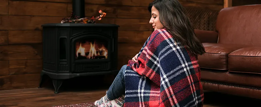 Fireplace Firebox Grate Replacement Services  in St. Louis Park, Minnesota