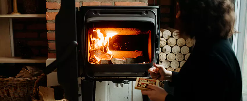 Hearthstone Wood Stoves Fireplace Repair in St. Louis Park, Minnesota