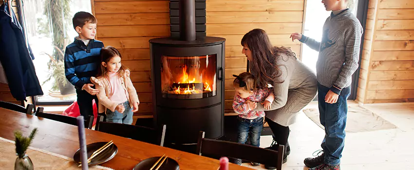 Jøtul Gas Fireplace Inspection Service in St. Louis Park, Minnesota