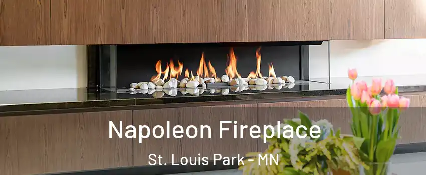  Napoleon Fireplace St. Louis Park - MN