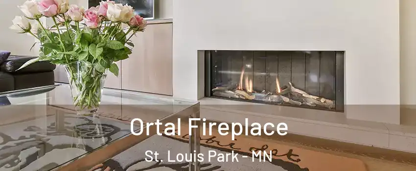 Ortal Fireplace St. Louis Park - MN