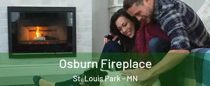 Osburn Fireplace St. Louis Park - MN